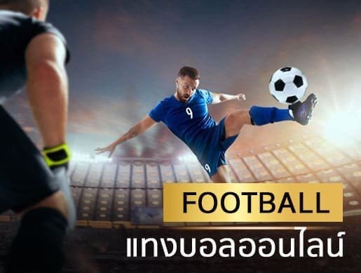 ทดลองเล่นสล็อต pg ไม่ เด้ง-ทดลองเล่นสล็อต pg ใหม่